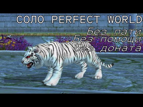 Видео: СОЛО ПВ / Соло Perfect World #1