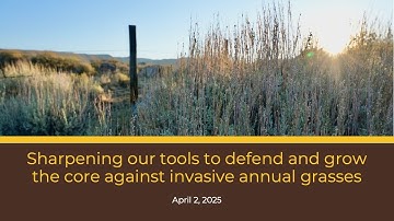 1- Introduction (2025 Virtual Workshop)