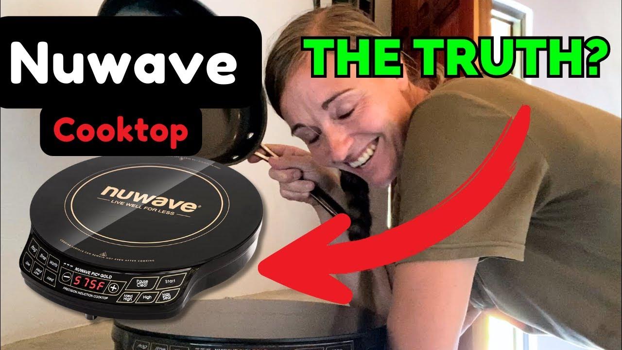 Nuwave Gold Precision Induction Cooktop Portable Review 2024 YouTube