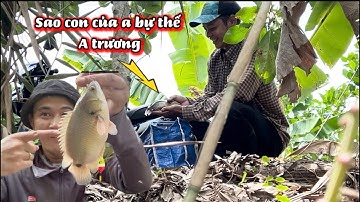 Khủng Khiếp Con Thuỷ Quái Vậy Anh Trương-câu cá rô đồng / lãng tử miền tây T21