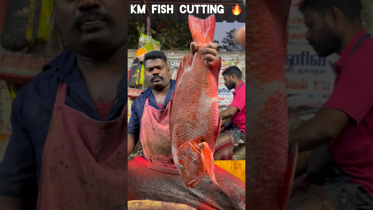 KASIMEDU 🔥 SPEED SELVAM FISH CUTTING VIDEO 