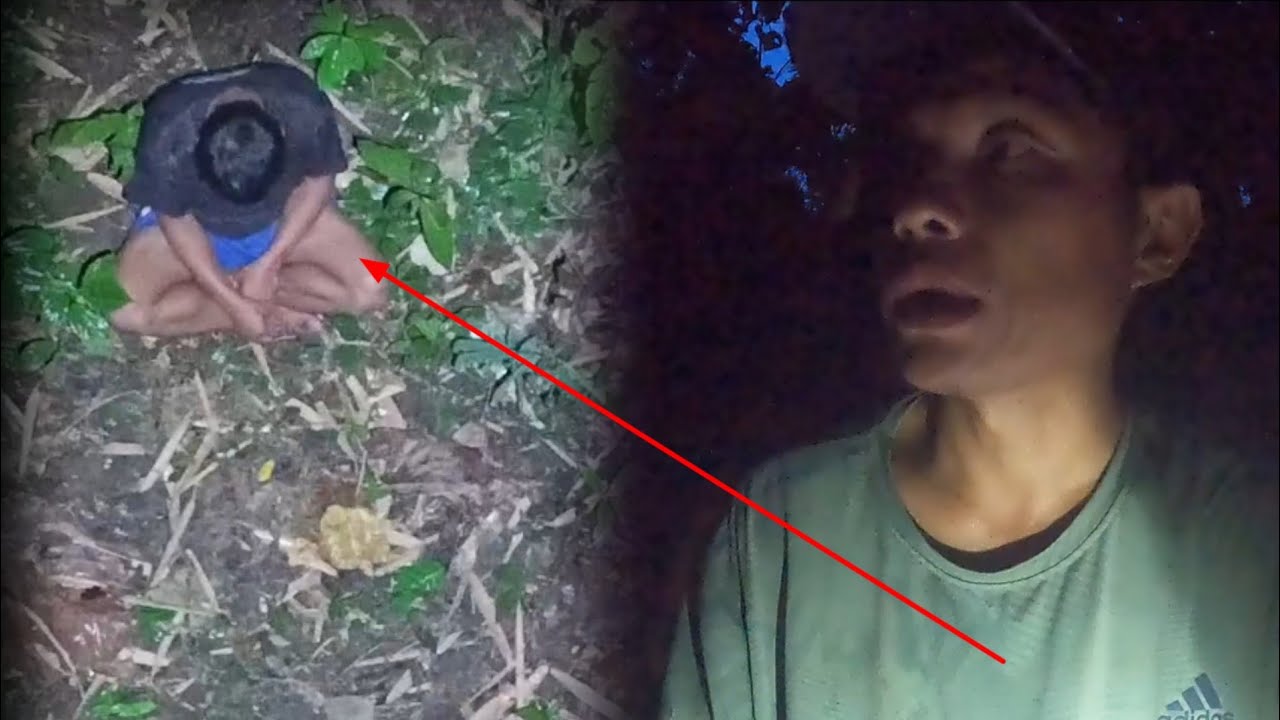 ไปเจอห้างกลางป่าแล้วได้ขึ้นไปอาศัยในเวลาค่ำๆมีคนมาตาม