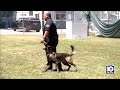 Miami PD's K-9 unit adds five new teams