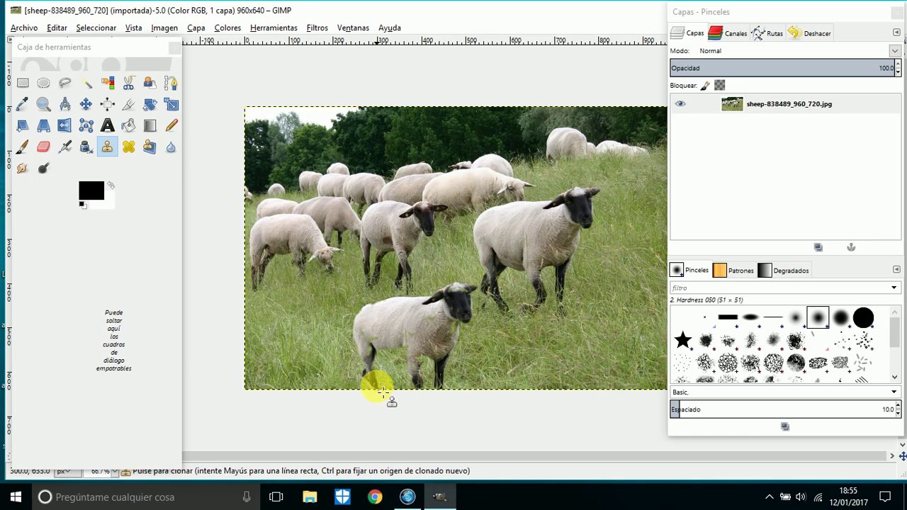 Tutorial de Gimp para clonar imagenes - YouTube
