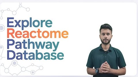 Explore Reactome Pathway Database