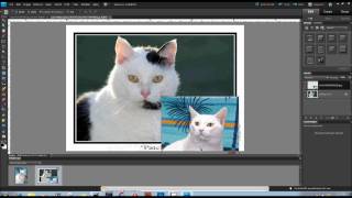 MONTAGE IMAGE BLENDING: OMNI- & MULTI-DIRECTIONAL screenshot 4