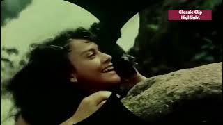 Ditinggalkan Sejak Kecil, Gadis Kecil Ini Harus Tinggal di Tengah Hutan -  Perawan Rimba