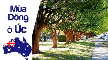 Một Ngày Mùa Đông Ở  Armidale - Úc Như Thế Nào? - TS Brenda Vo