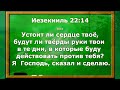 Господом Хвались! Стоять и выстоять! В продолжении темы Дня учителя. В какой позе принимать учение?