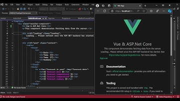 Vue and ASP.Net Core using Visual Studio 2022 (Vue JavaScript Getting Started )