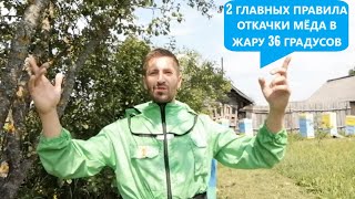 2 ГЛАВНЫХ ПРАВИЛА ОТКАЧКИ МЁДА В ЖАРУ 36 ГРАДУСОВ