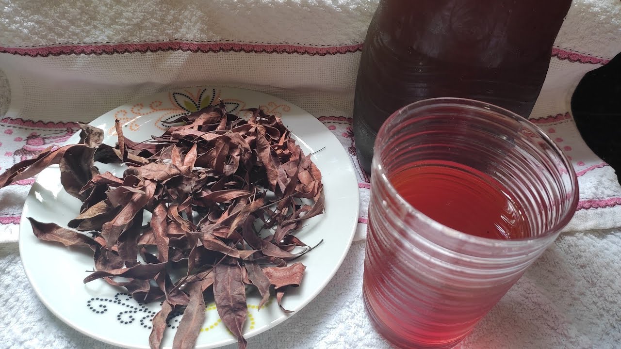 Conheça os benefícios do chá de PARIRI(crajiru) combate a anemia