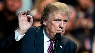 Former Trump executive: I don't know what's real with him anymore