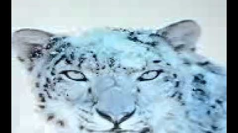 Dual Boot  Mac OS X and Windows 7 In  Dell Inspiron N4030