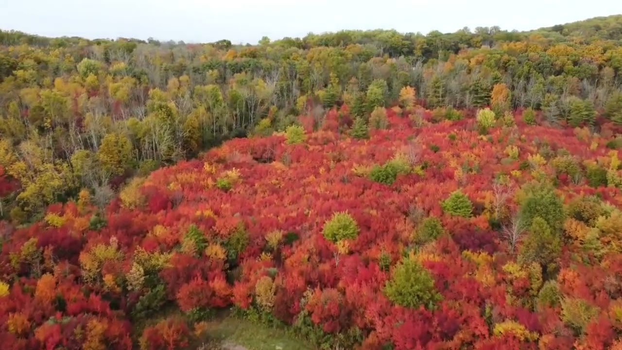 Pennsylvania Fall Foliage 2022