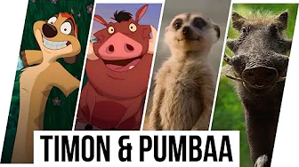 Timon & Pumbaa Evolution in Movies & TV Shows & Cartoons (1994-2024) thumbnail
