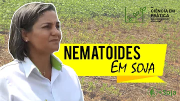 Como controlar nematoide na soja?