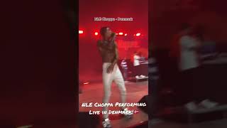 NLE Choppa Performing Live in Denmark!🇩🇰 | #shorts