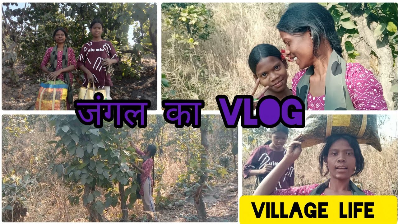 Jharkhand Life Style 😍Jangal Gaye The Sakhao Ka Pata Lane 