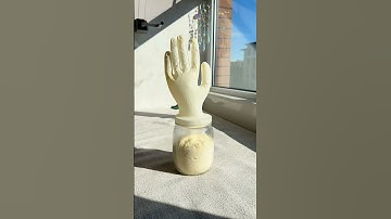 "Fermentation Process 🧪🍞 #ScienceExperiment 🔬" #shortvideo #shorts #viralvideo