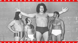 Amazing Photos Of André The Giant You Won’t Believe Aren’t Photoshopped