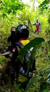 STORY WA KEREN || TRABAS HUTAN DAN TANJAKAN || STORY WA KEREN 30 DETIK || STORY WA 30 DETIK