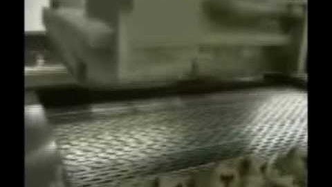 kitty pulp moulding drying lineWhatsapp: 0086-15065791781