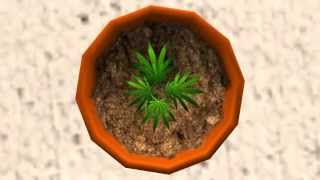 A New Weed Game for iOS & Android screenshot 2