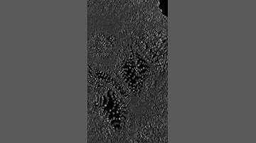 Generative visuals in TouchDesigner #audiovisual #sounddesign  #abletonlive #audiovisual  #art