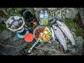 Redemption Rainbow Trout (Catch, Clean, Cook!) & Venison Veggie Dish