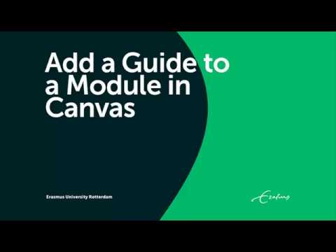 Add a Guide to a Canvas Module Part 1