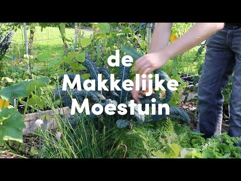 Hoe werkt de Makkelijke Moestuin