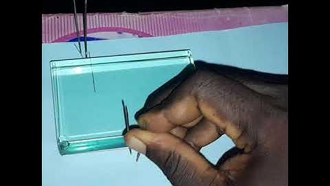 3 in one possible WAEC 2024 PHYSICS PRACTICAL ON OPTICS. RECTANGULAR GLASS PRISM