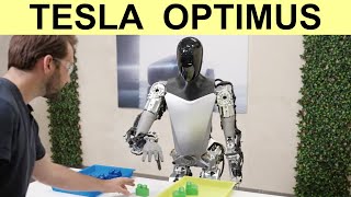 Tesla Optimus Robot Sorting Objects On Its Own while Stretching In Update Video