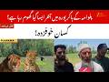 Wild Animal Fear Grows in Hakripora Pulwama as Crops Face Heavy Damage, Farmers Worried | ZeeJKL