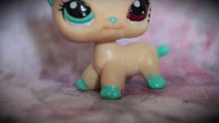 LPS заставка сериала 1 девушка 3 личности LPS заставка сериала 1 девушка 3 личности