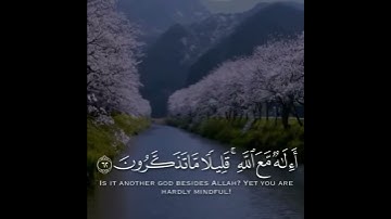 مقاطع قران قصيرة 💗 - بصوت اسلام صبحي حالات واتس اب دينيه -🎧❤ تلاوة خاشعة