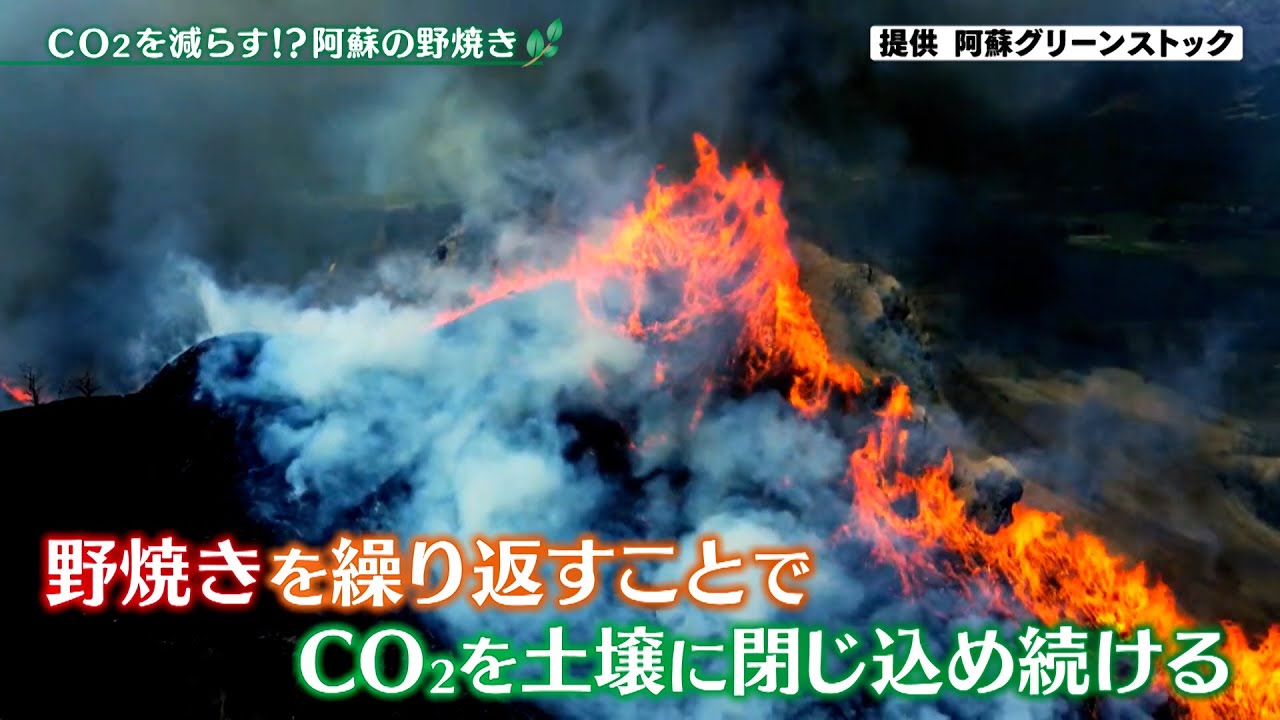 CO2を減らす！？阿蘇の野焼き【アプデの森】