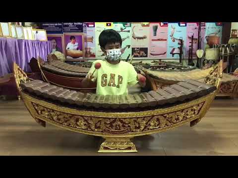 เรียนระนาดเอก
