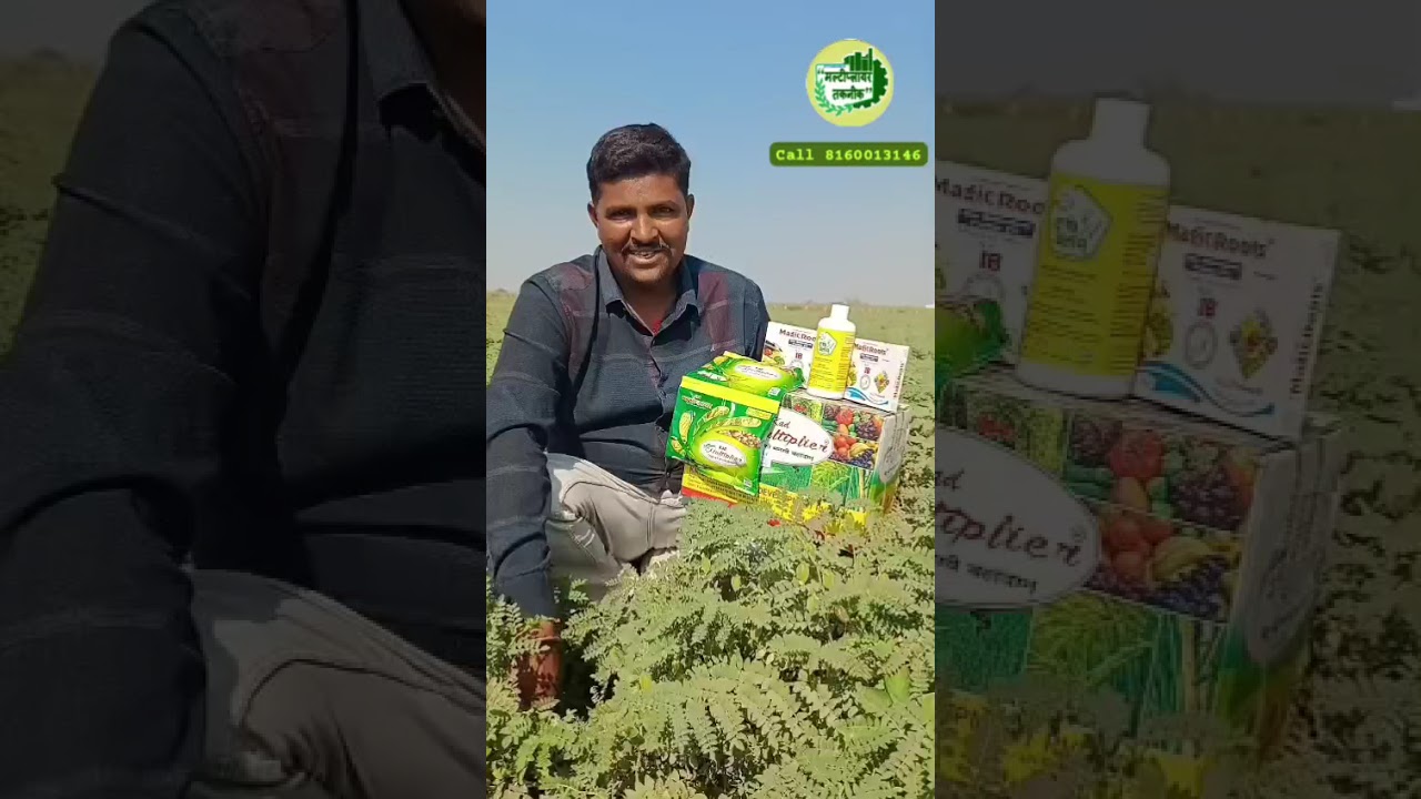 ચણા ના પ્લોટમાં મલ્ટિપ્લેયર ટેકનીક થી મેળવેલ રિઝલ્ટ mo 8160013146