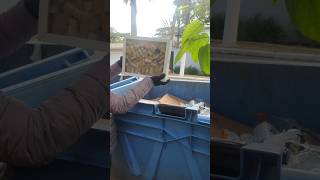 achadinhos #youtubeshorts #viral #dumpsterdiving #reciclagem #brasil