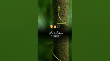 الَّذِينَ صَبَرُوا وَعَلَىٰ رَبِّهِمْ يَتَوَكَّلُونَ || تلاوة القرآن الكريم عبدالرحمن مسعد #اكسبلور