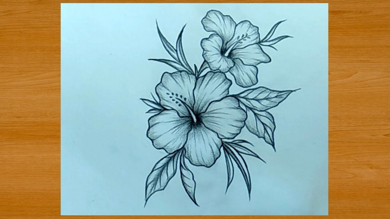 Beautiful Flower Drawing With Pencil Easy - YouTube