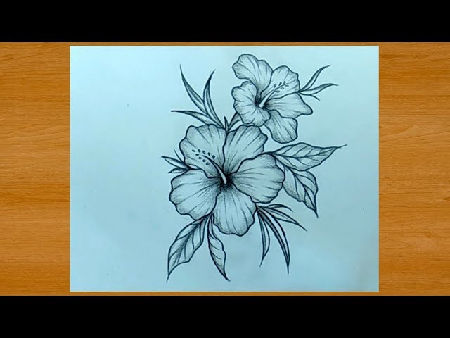 My first pencil drawings. #pencil #drawing #draw #flowers #rose | Nature  drawing, Sketches, Drawing sketches
