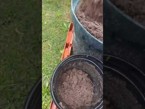 How to Plant