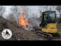 Lets clean the forgotten forest shear  root rake
