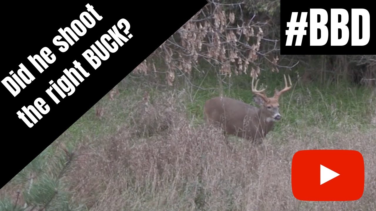 BIG BUCK DOWN Michigan Whitetail Hunting YouTube
