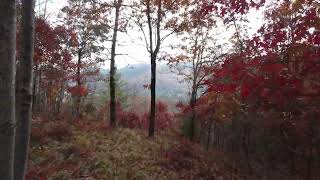 Lot 8, Windemere Drive, Spring Forest in Sapphire, NC