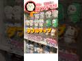 【クイズ1問:ちいかわはどこ？】ちいかわドンキコラボ2日目ほぼ何もなかったんだが再入荷求む【次回動画で答え発表してます】#ちいかわ #chiikawa #먼작귀 #치이카와 #吉伊卡哇