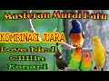 Masteran Murai Batu || Cililin || Lovebird || Kenari || Ampuh dijamin juara